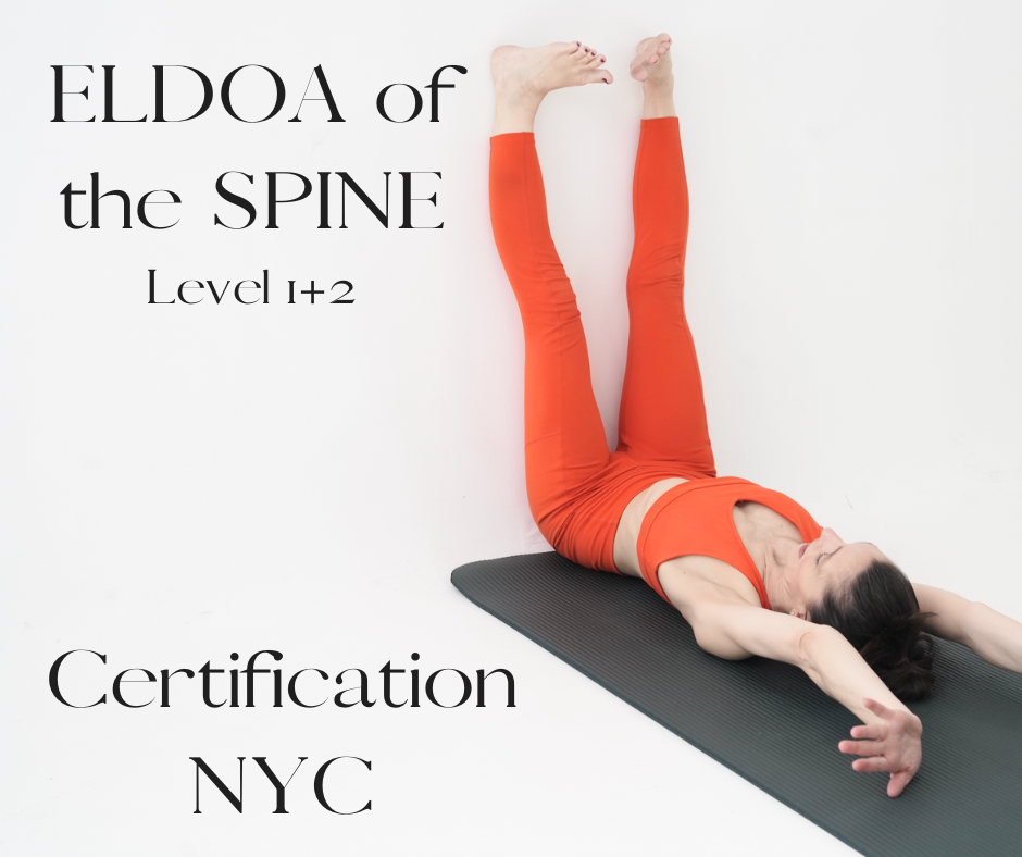 ELDOA of the SPINE (level 1+2) Certification NYC