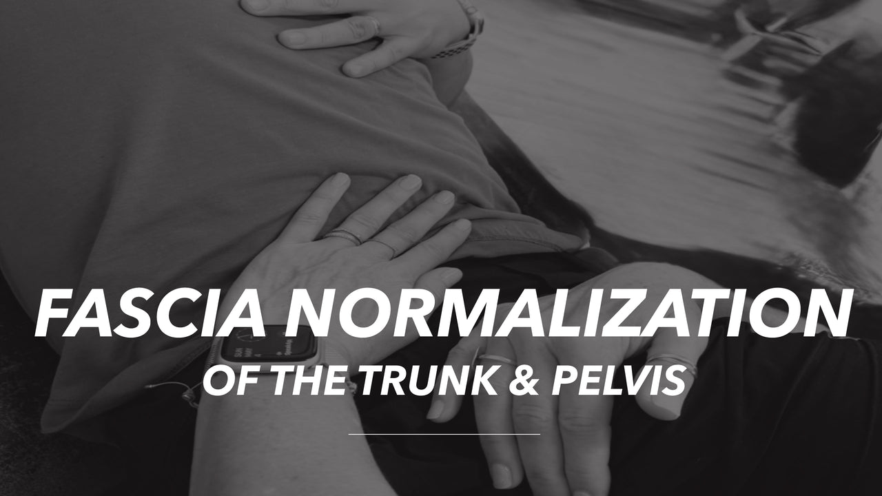 Fascia Normalization of the Trunk & Pelvis
